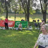 Foto van Fudge, Chunky, Maylo † & Ziko † en baasje Laura