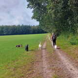 Foto van sylvia