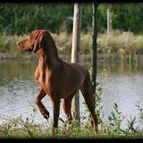 Dit is onze Jara, nu 1 jaar jong
