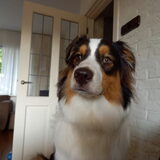 Foto van Baasje van Spaiky† en Odie