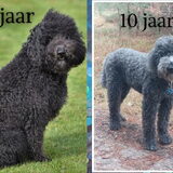 Foto van sylvia