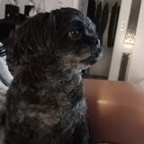 Foto van Annelies met  Sem