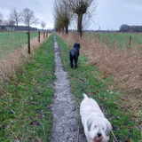Foto van sylvia