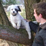 Op de boom!!