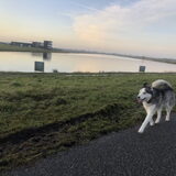 Foto van Lavina