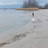 Foto van sylvia