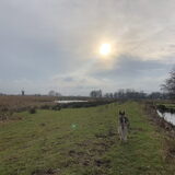 Foto van Lavina