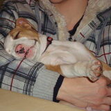 Wat is die moe na de stoeipartij met Haico :-)
