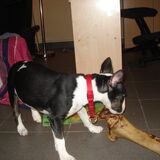 Zina met haar gigantische been