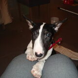 droopy zina