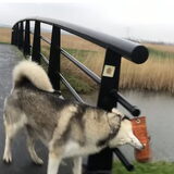Foto van Lavina