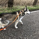 Foto van Lavina