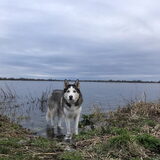 Foto van Lavina