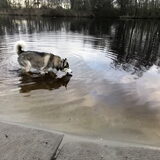 Foto van Lavina