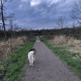 Foto van Lavina