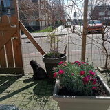 Foto van Annelies met  Sem