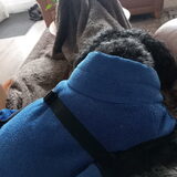 Foto van Annelies met  Sem