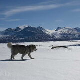 Foto van Alaska's Finest!