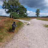 Foto van sylvia