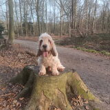 Foto van Liz