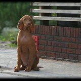 Weer Taiko