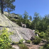 Foto van Lavina