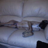 oooh wat is het leven toch zwaar