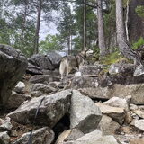 Foto van Lavina