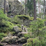 Foto van Lavina