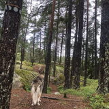 Foto van Lavina