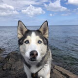 Foto van Lavina