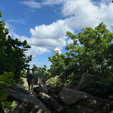 Foto van Lavina