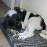 Onze lieve kleine Yke ( 10 maanden oud In loving Memory 8 Mei 2009