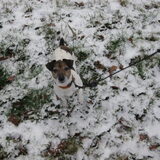 Foto van Sunny