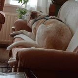 Foto van Annelies met  Sem