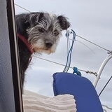 Foto van Zoe en iris
