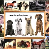 Mijn website , met prachtige handgemaakte dierenspullen.