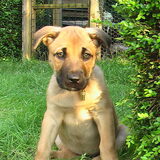 kira, 14-07-09