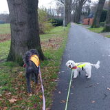 Foto van sylvia