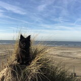Foto van Heidi & Noortje