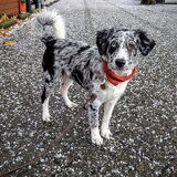 Foto van Lisa Bergen