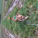 Foto van Emily