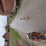 Foto van Emily