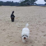 Foto van sylvia