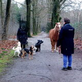 Foto van sylvia