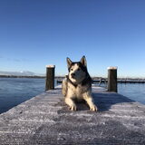 Foto van Lavina