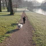 Foto van sylvia