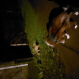 Foto van Emily