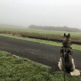Foto van Lavina