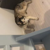 Foto van Lavina
